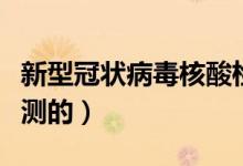 新型冠狀病毒核酸檢測(cè)多久出結(jié)果（是怎么檢測(cè)的）