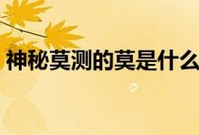 神秘莫測的莫是什么意思（神秘莫測的含義）