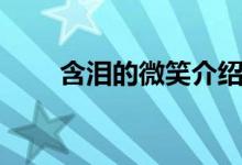 含淚的微笑介紹（講解含淚的微笑）
