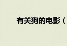 有關(guān)狗的電影（關(guān)于狗的電影推薦）