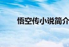 悟空傳小說簡(jiǎn)介（悟空傳小說介紹）