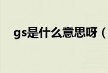 gs是什么意思呀（gs是什么意思醫(yī)學(xué)上）