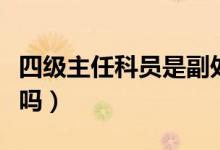 四級(jí)主任科員是副處嗎（四級(jí)主任科員是副科嗎）