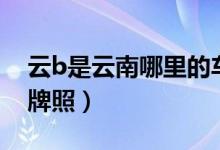 云b是云南哪里的車牌號（云b是云南哪里的牌照）