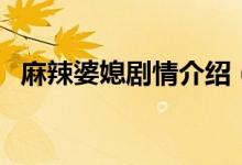麻辣婆媳劇情介紹（這個(gè)電視劇太好看了）