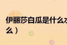 伊麗莎白瓜是什么水果（伊麗莎白水果還叫什么）