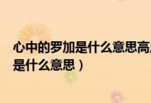 心中的羅加是什么意思高血壓的人不能喝雞湯（心中的羅加是什么意思）