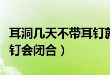 耳洞幾天不帶耳釘就長住了（耳洞幾天不帶耳釘會(huì)閉合）