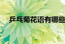 乒乓菊花語(yǔ)有哪些（乒乓菊花語(yǔ)是什么）