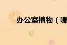 辦公室植物（哪些植物適合辦公室）
