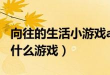 向往的生活小游戲abcd(向往的生活abcd是什么游戲)