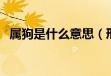 屬狗是什么意思(邢道榮什么意思什么梗)