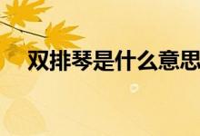 雙排琴是什么意思（雙排琴是什么樂器）