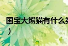 國寶大熊貓有什么類別（國寶大熊貓有尾巴嗎）