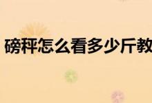 磅秤怎么看多少斤教程(磅秤怎么看多少斤)
