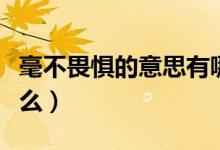 毫不畏懼的意思有哪些（毫不畏懼的意思是什么）