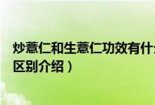 炒薏仁和生薏仁功效有什么不同（關(guān)于炒薏仁和生薏仁功效區(qū)別介紹）