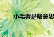 小毛睿是啥意思（毛睿是個什么梗）