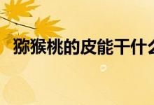 獼猴桃的皮能干什么（獼猴桃的皮能吃嗎）