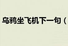 烏鴉坐飛機(jī)下一句（烏鴉坐飛機(jī)下一句是啥）