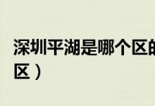 深圳平湖是哪個區(qū)的（平湖屬于深圳市的哪個區(qū)）