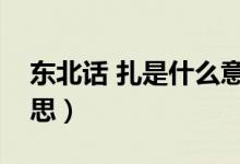 東北話(huà) 扎是什么意思（東北話(huà)扎扎是什么意思）