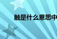 觸是什么意思中文(觸是什么意思)