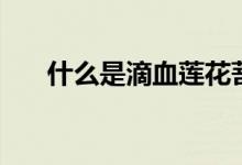 什么是滴血蓮花菩提（什么是芭比粉）