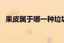 果皮屬于哪一種垃圾（果皮屬于哪類(lèi)垃圾）