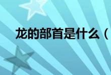 龍的部首是什么（龍的部首是什么偏旁）