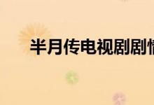 半月傳電視劇劇情（該劇都是誰演的）