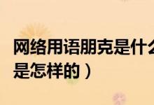 網(wǎng)絡(luò)用語(yǔ)朋克是什么意思(音樂(lè)中的朋克風(fēng)格是怎樣的)