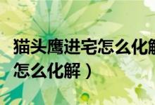貓頭鷹進宅怎么化解道家怎么看（貓頭鷹進宅怎么化解）