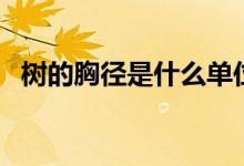樹(shù)的胸徑是什么單位（樹(shù)的胸徑是指什么）