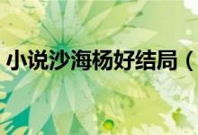 小說(shuō)沙海楊好結(jié)局（沙海楊好哪一章出現(xiàn)的）