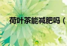 荷葉茶能減肥嗎（喝荷葉茶的注意事項）