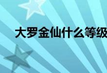 大羅金仙什么等級(jí)（大羅金仙什么等級(jí)）