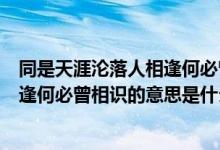 同是天涯淪落人相逢何必曾相識(shí)的意思（同是天涯淪落人相逢何必曾相識(shí)的意思是什么）