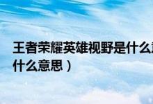 王者榮耀英雄視野是什么意思（王者榮耀輔助英雄做視野是什么意思）
