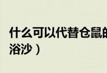 什么可以代替?zhèn)}鼠的墊料（什么可以代替?zhèn)}鼠浴沙）