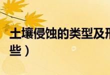 土壤侵蝕的類型及形式（土壤侵蝕的類型有哪些）