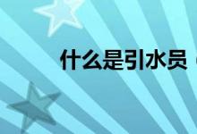 什么是引水員（什么是引流推廣）