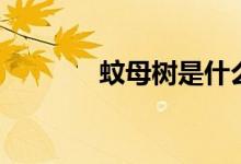 蚊母樹是什么（何謂蚊母樹）