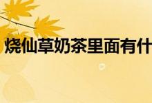 燒仙草奶茶里面有什么（燒仙草奶茶的簡(jiǎn)介）
