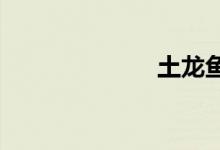 土龍魚(yú)是什么魚(yú)