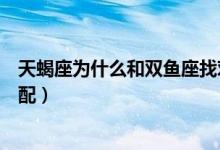天蝎座為什么和雙魚(yú)座找對(duì)象好（天蝎座為什么和雙魚(yú)座絕配）
