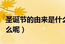 圣誕節(jié)的由來(lái)是什么意思（圣誕節(jié)的由來(lái)是什么呢）