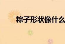 粽子形狀像什么（粽子形狀有哪些）
