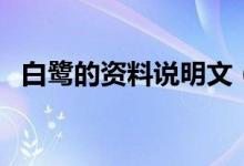 白鷺的資料說(shuō)明文（白鷺說(shuō)明文簡(jiǎn)述說(shuō)明）