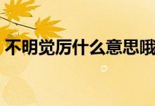 不明覺(jué)厲什么意思哦（不明覺(jué)厲出處是什么）